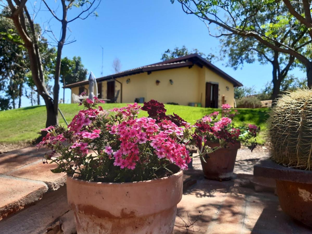 Agriturismo La Sorgente Fonteblanda Dış mekan fotoğraf