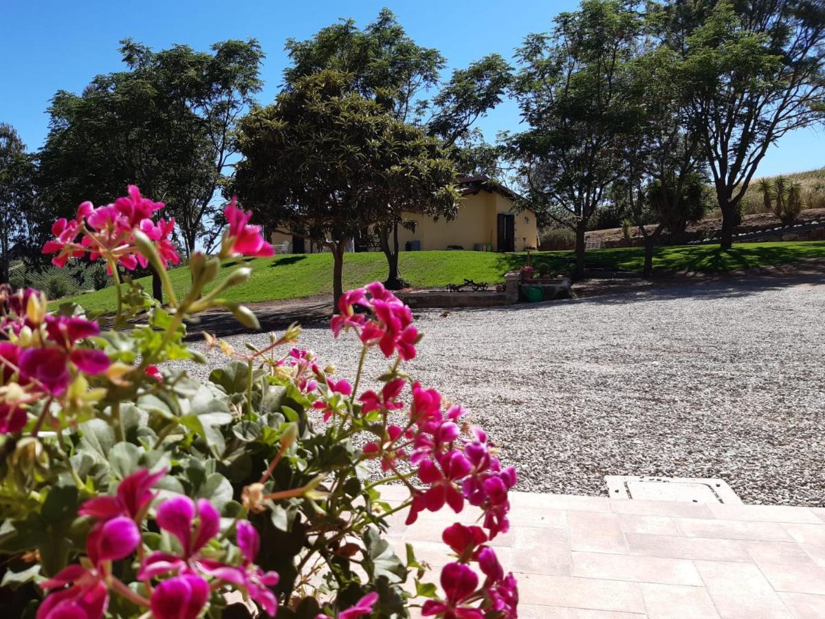 Agriturismo La Sorgente Fonteblanda Dış mekan fotoğraf
