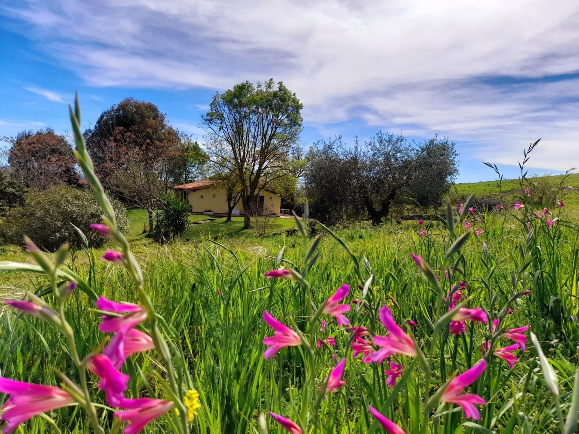 Agriturismo La Sorgente Fonteblanda Dış mekan fotoğraf