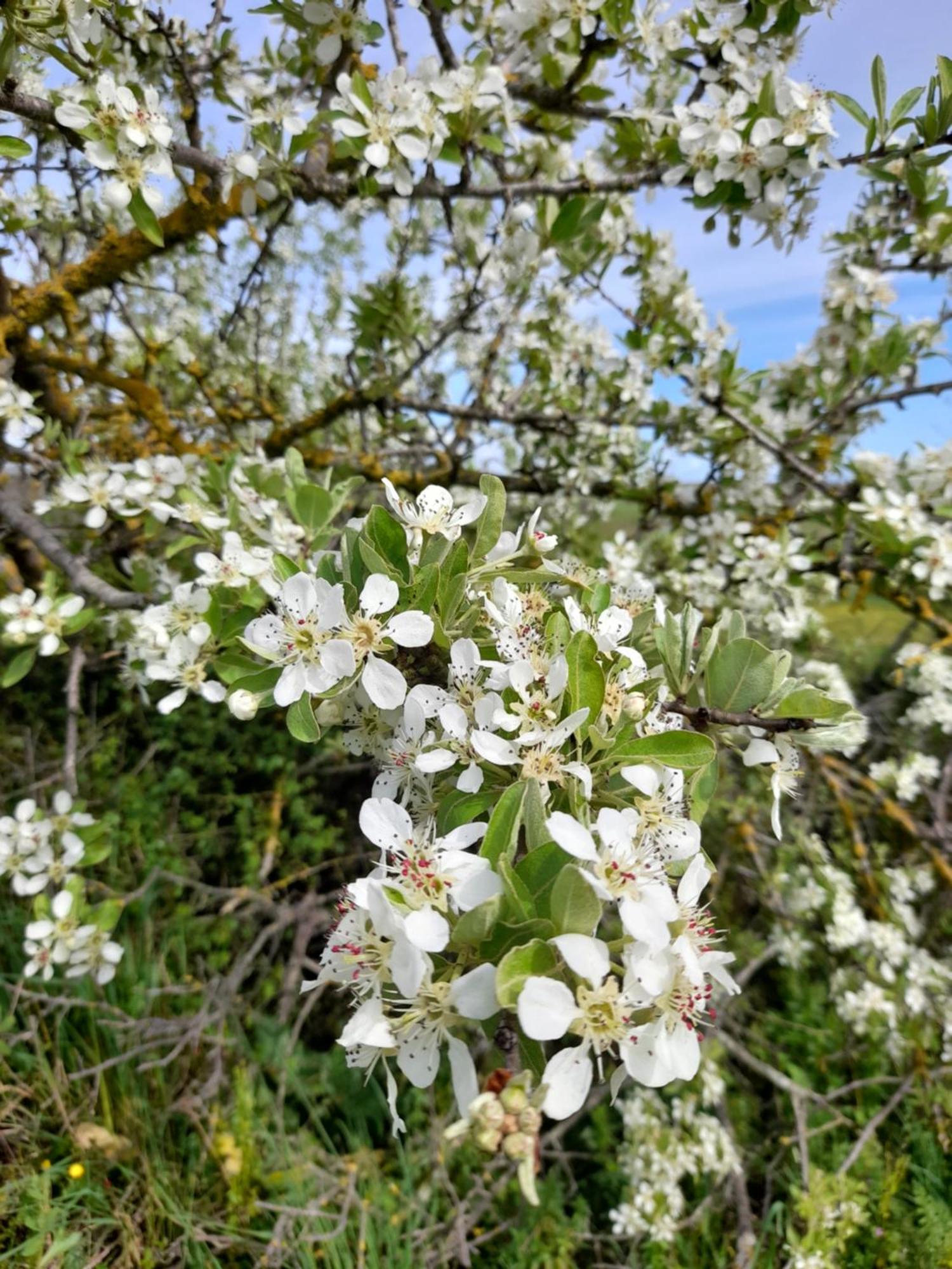 Agriturismo La Sorgente Fonteblanda Dış mekan fotoğraf