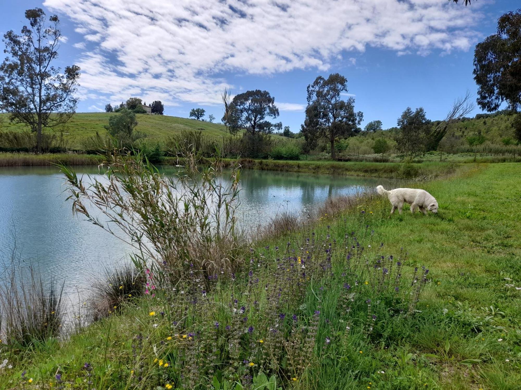 Agriturismo La Sorgente Fonteblanda Dış mekan fotoğraf