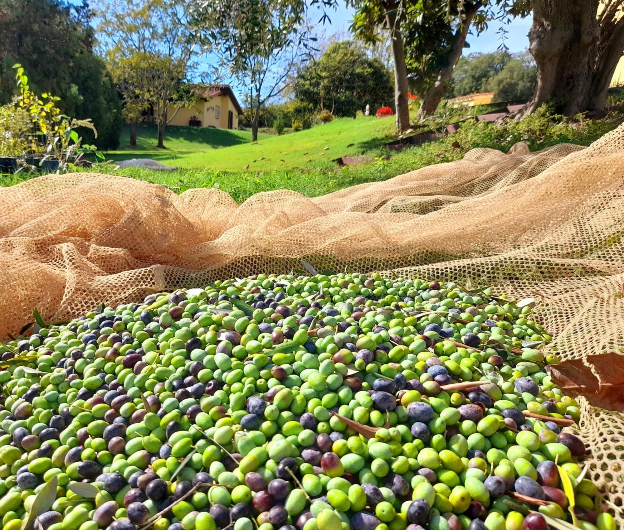 Agriturismo La Sorgente Fonteblanda Dış mekan fotoğraf