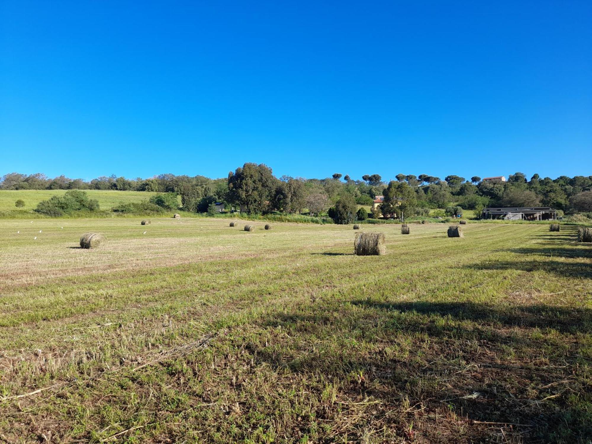 Agriturismo La Sorgente Fonteblanda Dış mekan fotoğraf